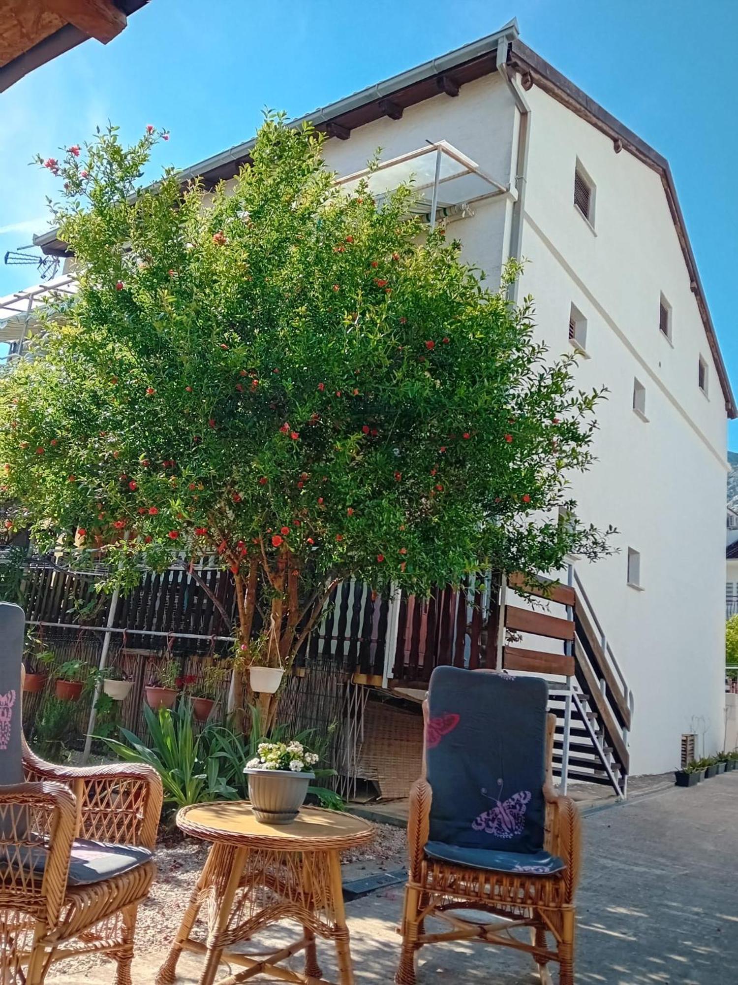 Apartments Vidic 奥瑞比克 外观 照片